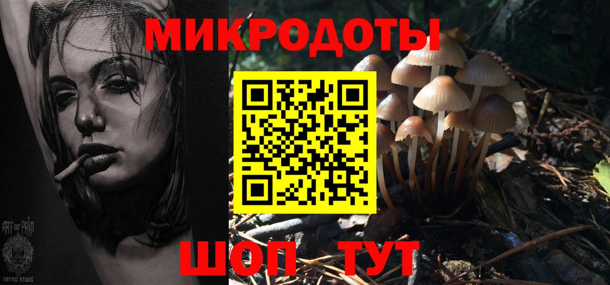 Галлюциногенные грибы Magic Shrooms Донской